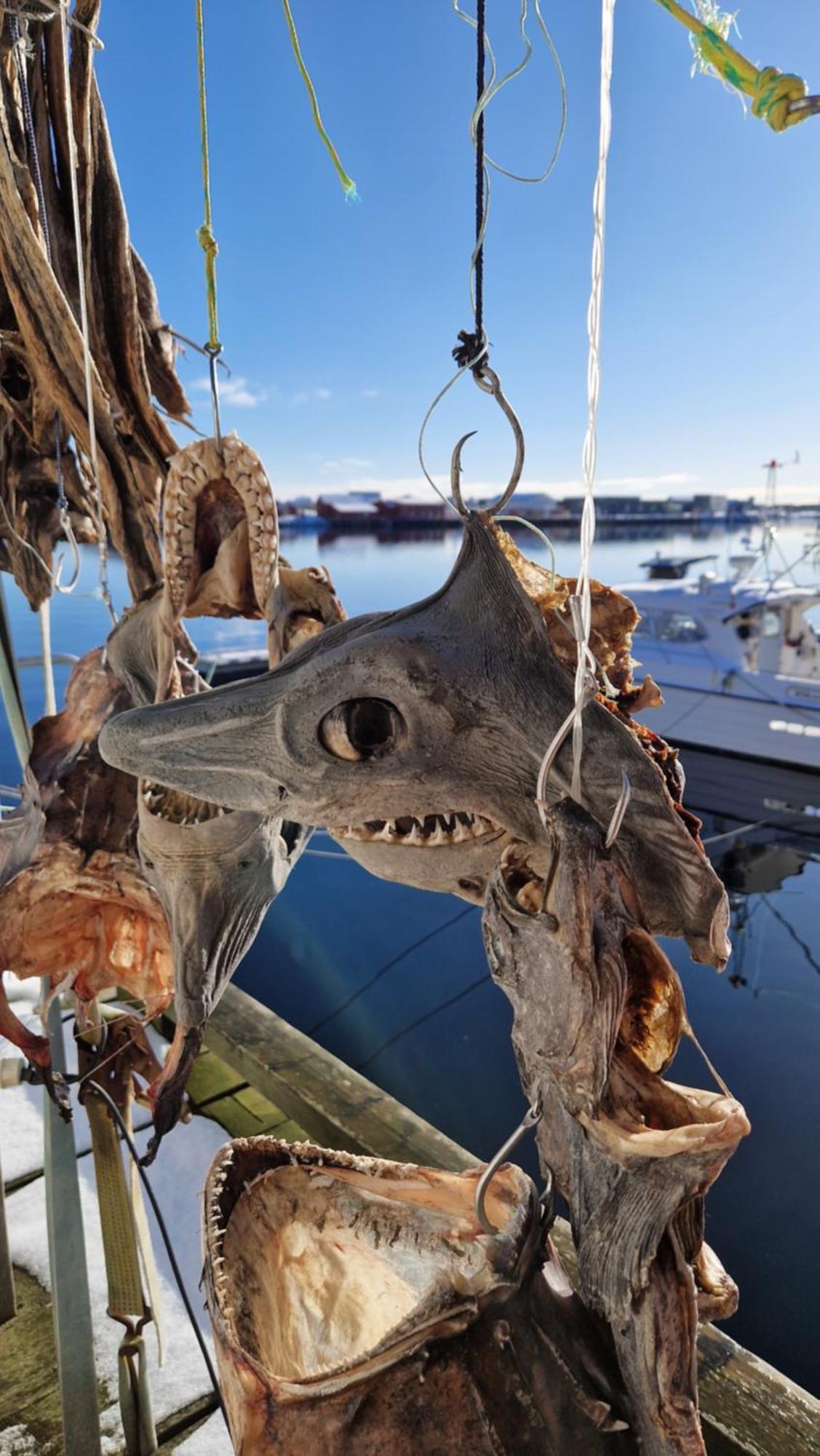 Apartmán Bensvik Brygge Vaeroy Exteriér fotografie